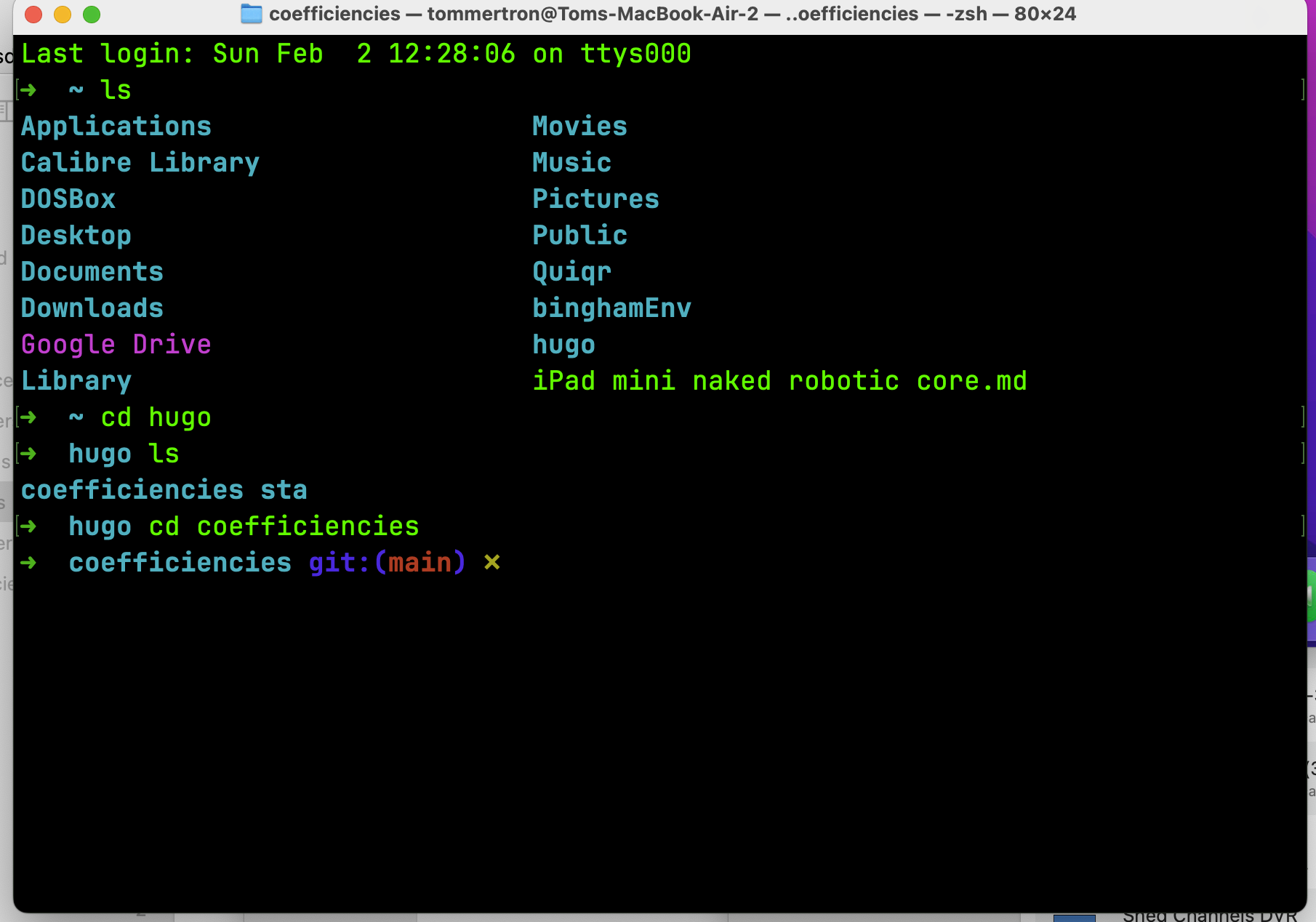 My Terminal with Oh My Zsh